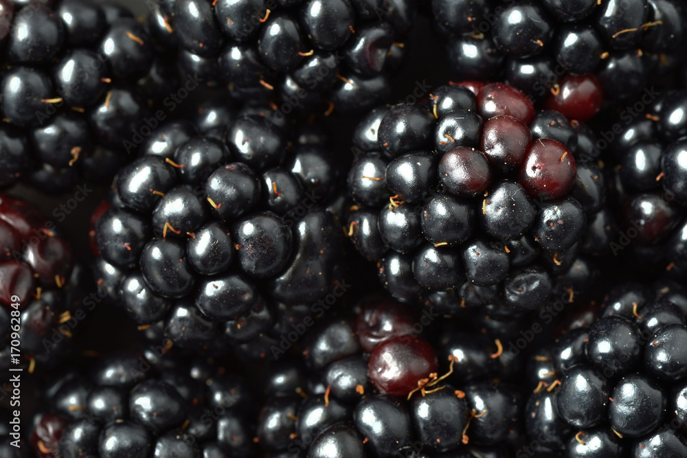 Blackberries macro background Blackberries macro background