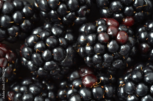 Blackberries macro background