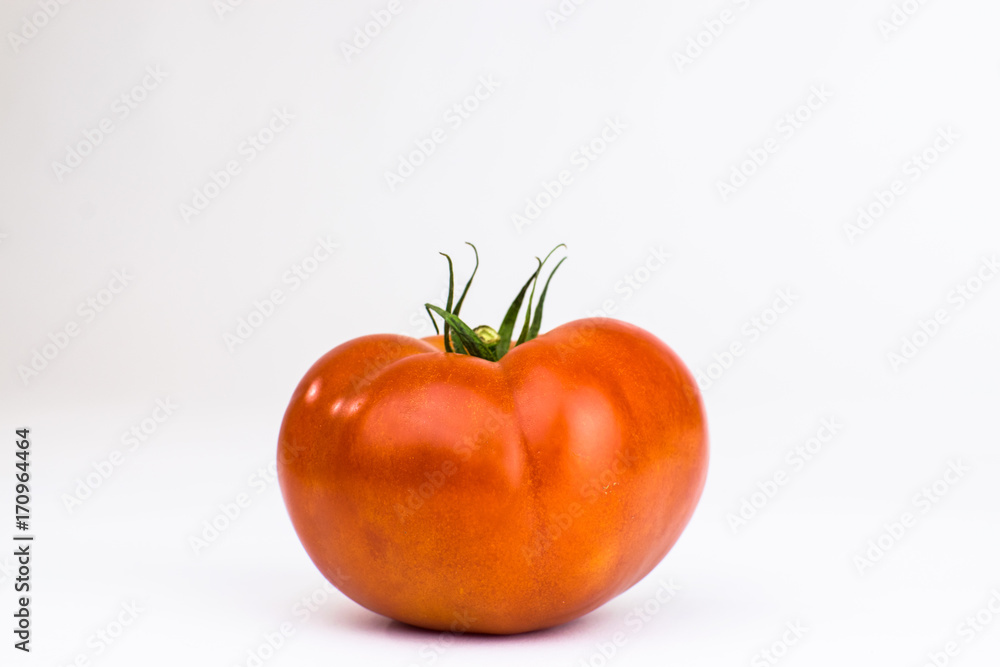 Tomato 2 Tomato 2