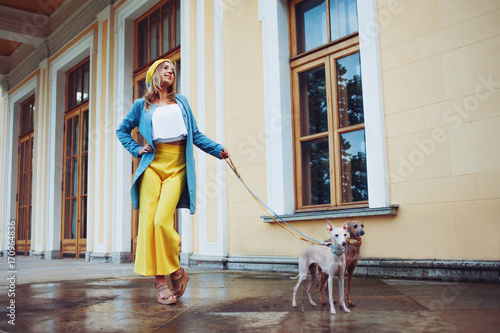 Stylish and beautiful young woman walks with dogs