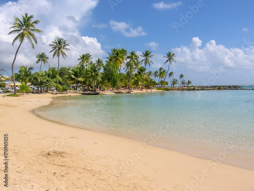 Coconut palms, turquoise sea and white sandy beach of Sainte-Anne Guadeloupe, Antilles, Caribbean. © bennymarty