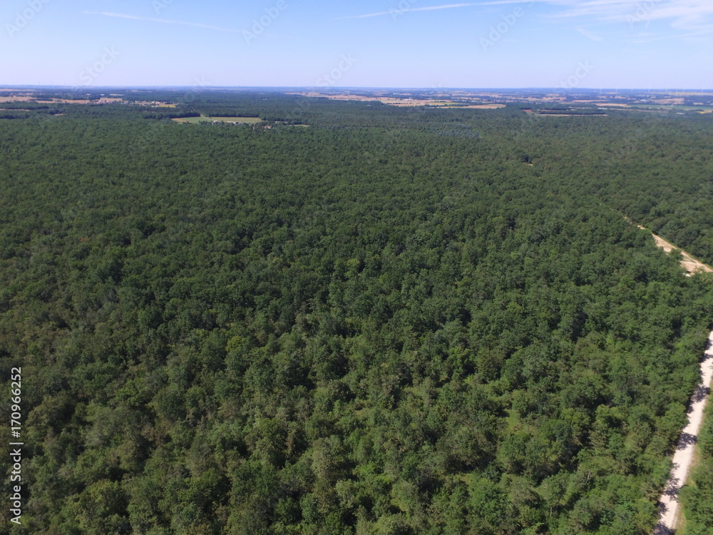 Forêt de la Braconne Charente France vue Aerienne