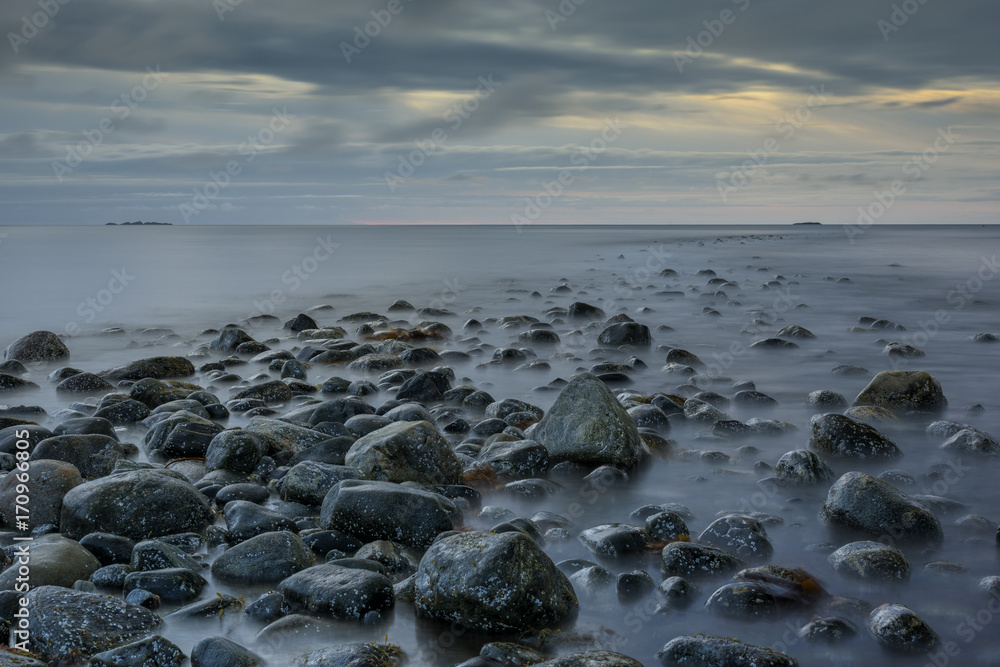 Fototapeta premium Woolly Reflections 2