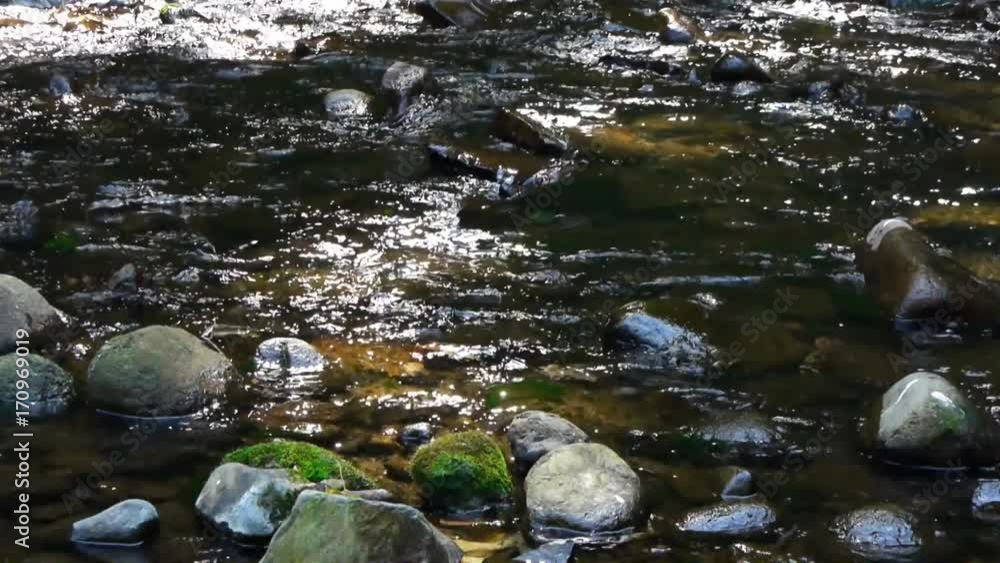 渓流風景 ポンベツ川 渓流風景 ポンベツ川