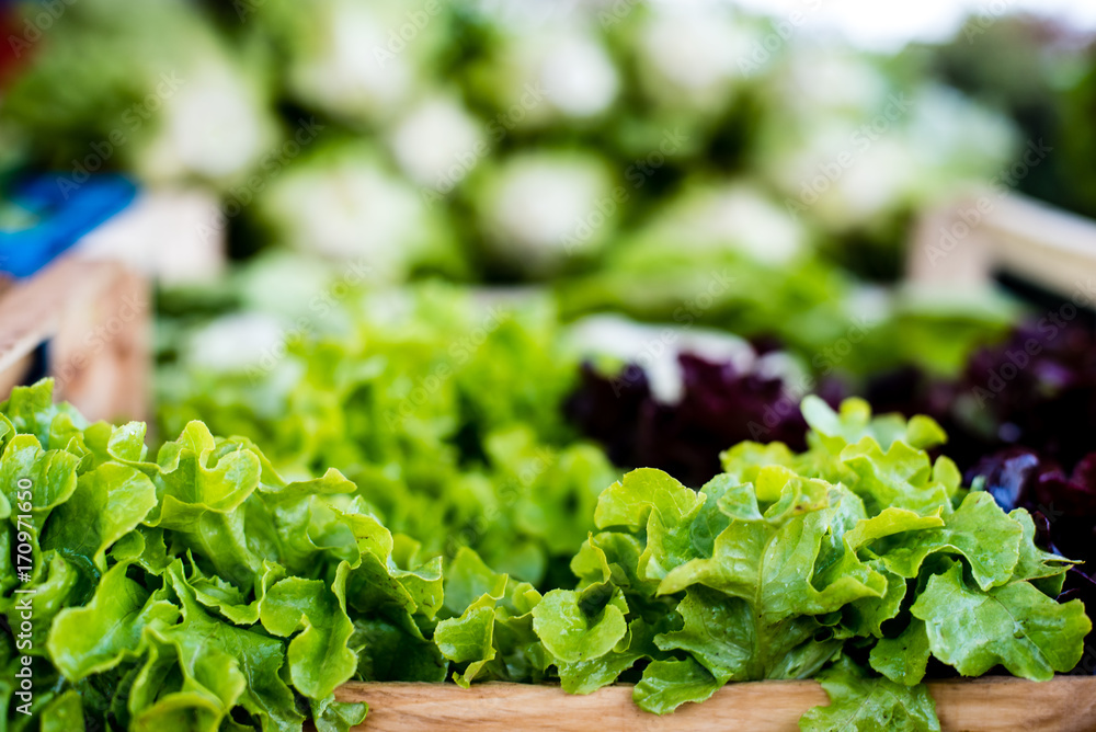 Gentilina salad on market stall