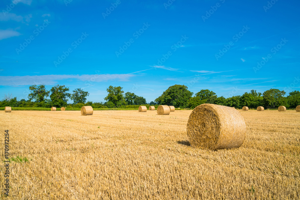 Hay bales in a field. End of summer in Norfolk UK Hay bales in a field. End of summer in Norfolk UK