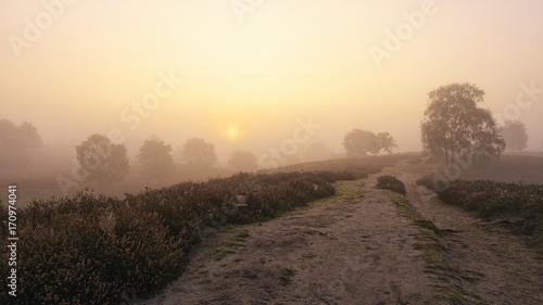 Westruper Heide