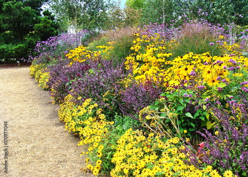 großes Blumenbeet mit blauen lila und gelben Stauden im Sommer photo