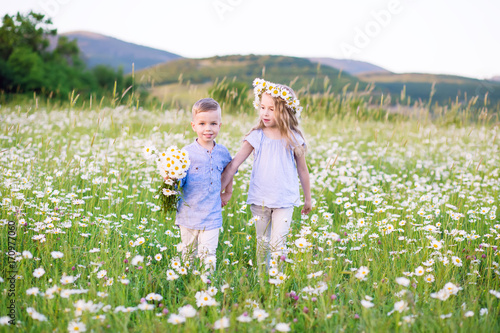 Beautiful little girl hugging a little boy in a field of chamomiles