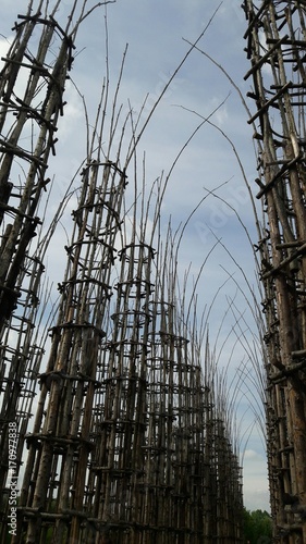 Lodi - Cattedrale vegetale