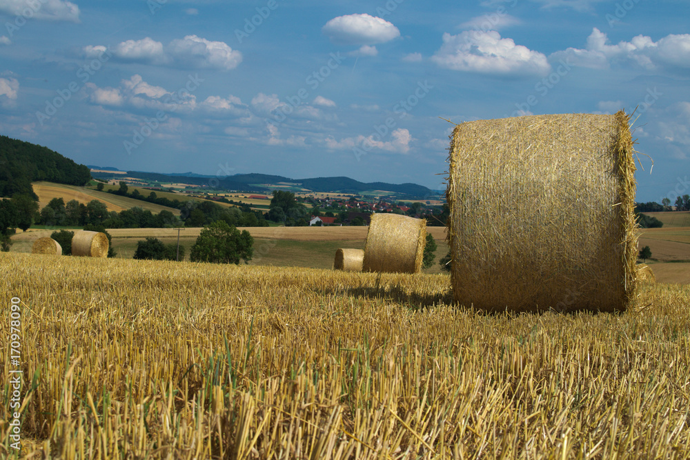 Fototapeta premium Naturlandschaft