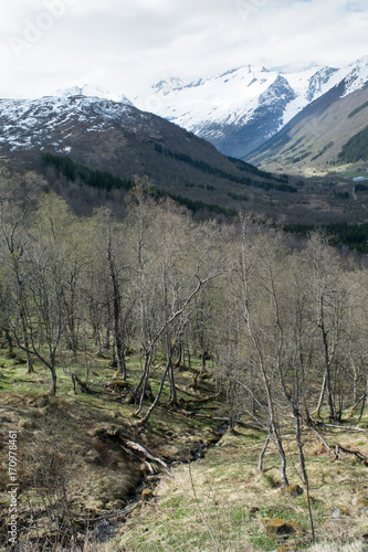 nature with mountins in Norway photo