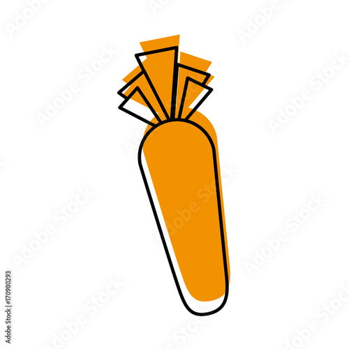 carrot vegetable fresh supermarket food design vector illustration