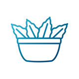 leaf salad bowl icon vector illustration graphic design