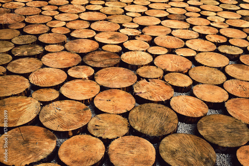 pavement of wooden logs