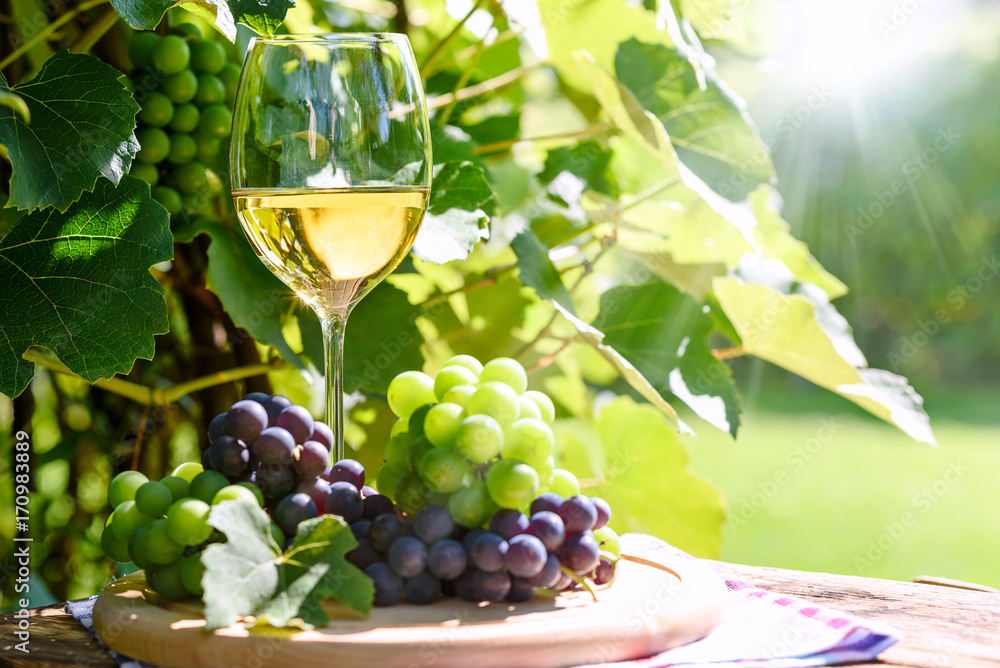 Wine and fresh grapes in a rustic vineyard