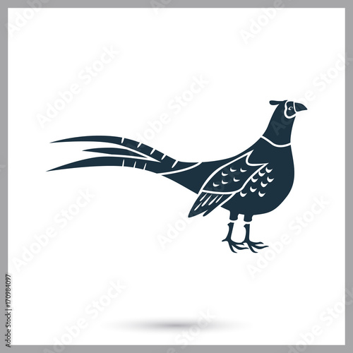 Pheasant simple icon