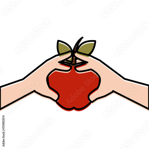 hands human with apple fresh fruit icon vector illustration design photo