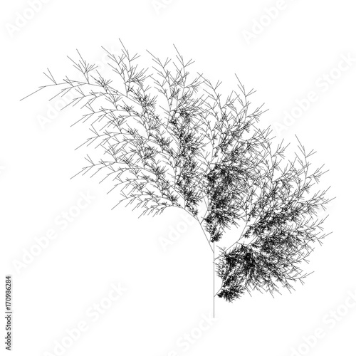 Flat Vector Computer Generated  L-system Fractal Plant - Generative Art  