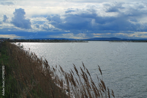 Le Parc du Levant    Palavas-les-Flots  France  