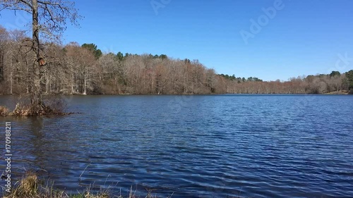 Lake in Wall Doxey State Park Mississippi time lapse