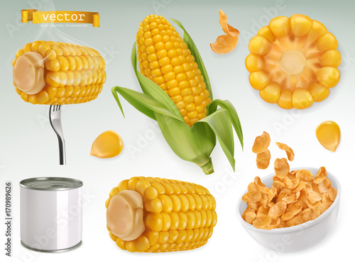 Corn cob, grains, corn flakes. Set 3d vector elements. Package design