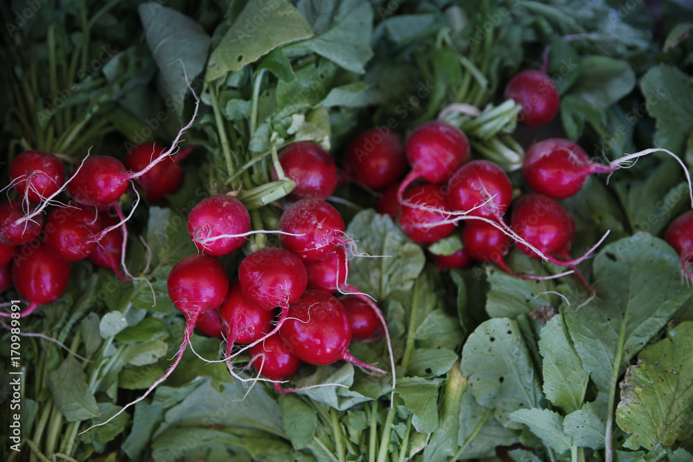 Φωτογραφία Radishes for sale at the Farmers Market
