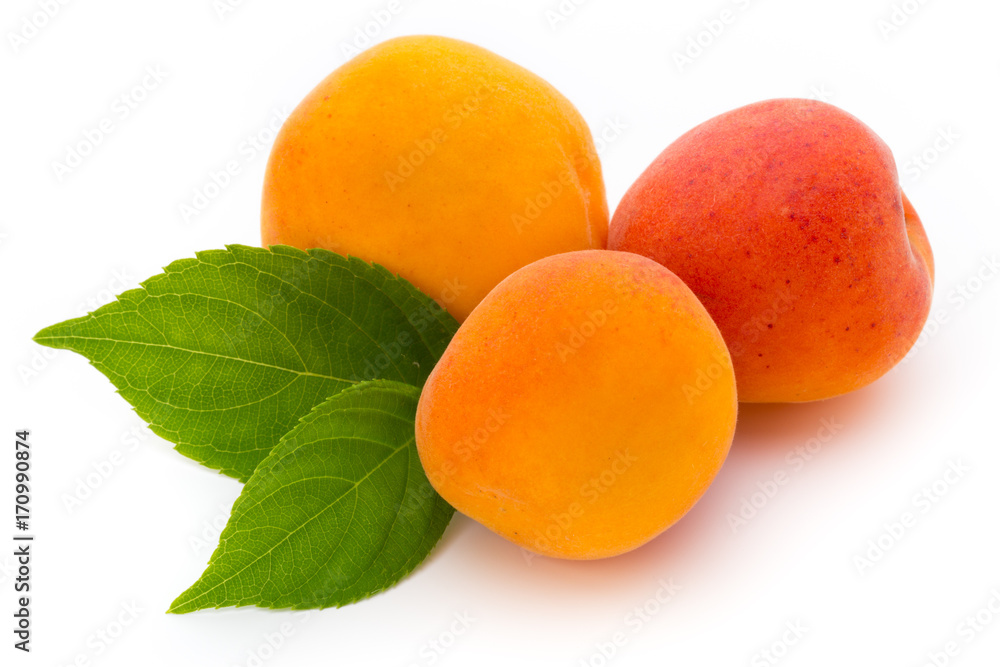 Apricots. Apricots.
