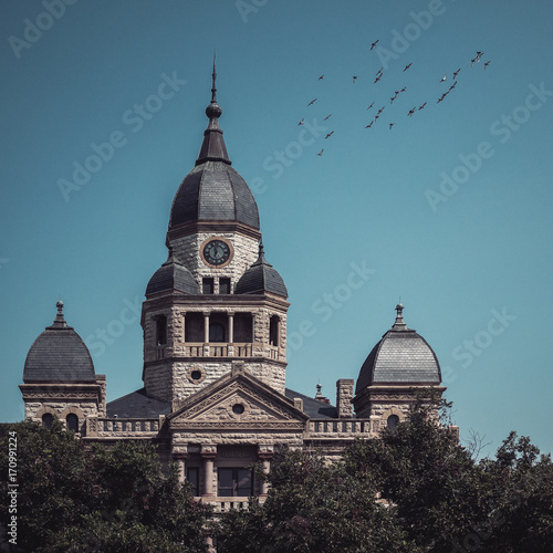 Denton County Courthouse and Birds photo