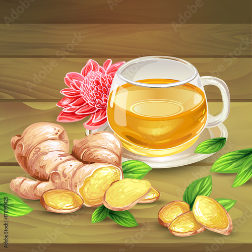 Glass cup of ginger tea with raw sliced on pieces ginger root, leaves, flower lying on wooden table hand-drawn vector illustration. Fresh brewed aromatic herbal beverage with oriental spicy additive