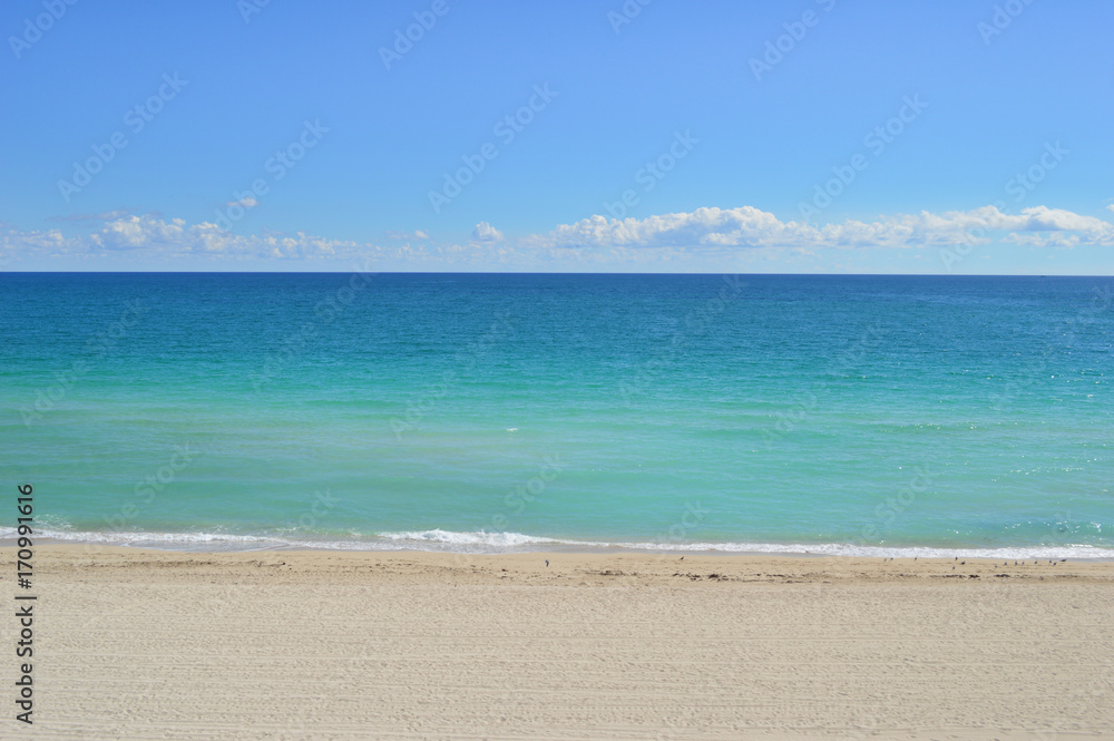 The beach in a sunny day