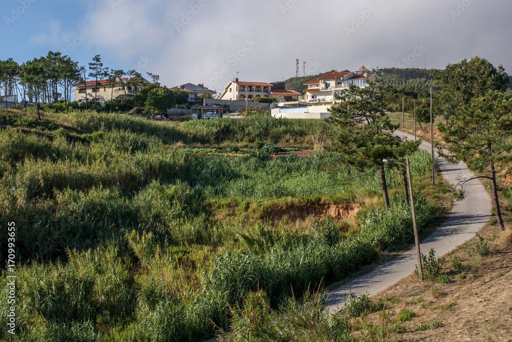 Fototapeta premium Figueira da Foz, Portugal