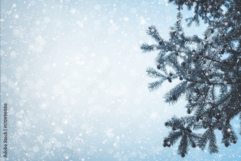 Christmas tree pine branch and snowfall on sky background. vintage color tone and rustic style. Christmas tree pine branch and snowfall on sky background. vintage color tone and rustic style.