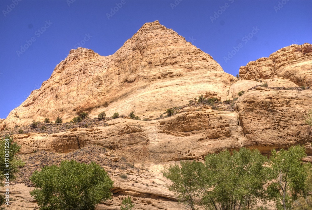Fototapeta premium Layered and Eroded Sandstone in Capital Reef National Park