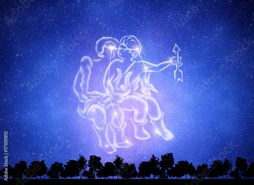 双子座 Stock イラスト Adobe Stock