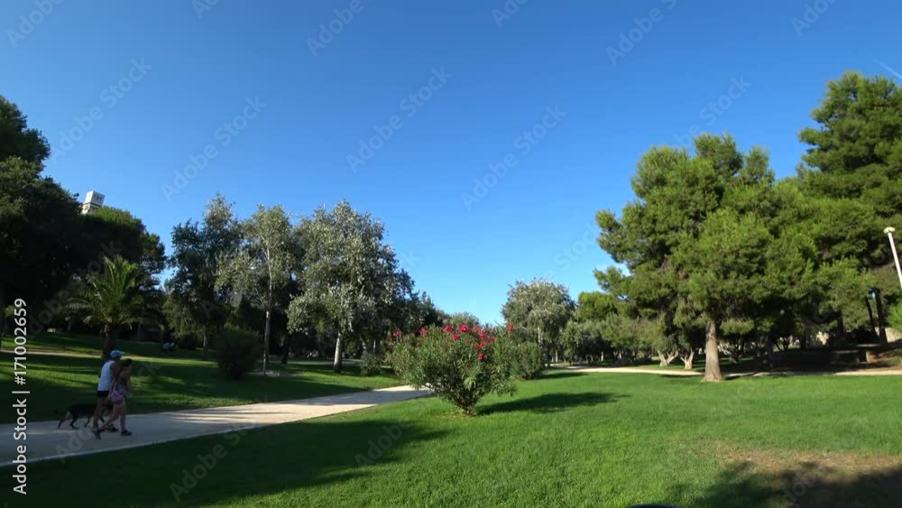 Walking summer park with beautiful green lawn and trees in Valencia Spain Walking summer park with beautiful green lawn and trees in Valencia Spain