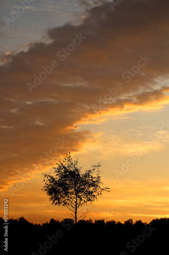 Beautiful summer sunset