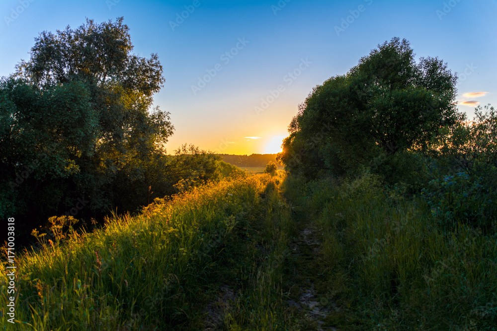 Obraz premium Rural road, overgrown with grass in sunlight