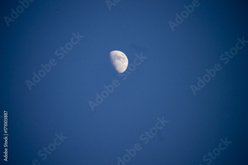 Half Moon in Night Sky