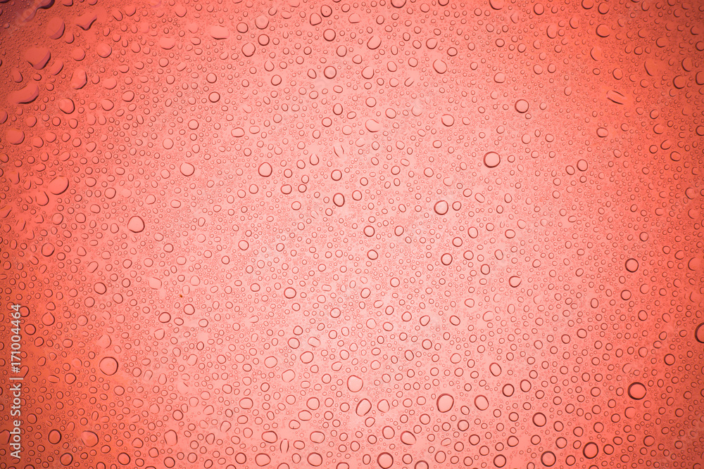 Rain droplets on red glass background, Water drops on glass. Rain droplets on red glass background, Water drops on glass.