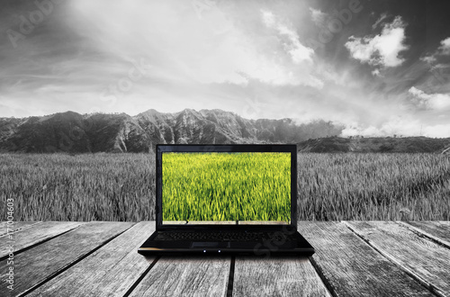 Computer laptop on wooden terrace with nature view background. Contrast colorful computer screen with black and white background. Clipping path on screen
