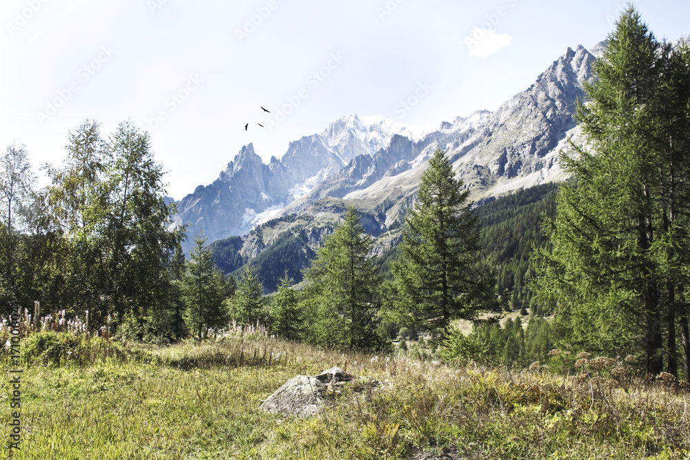 Panorama sul Monte Bianco ,visto dalla Val Ferret.