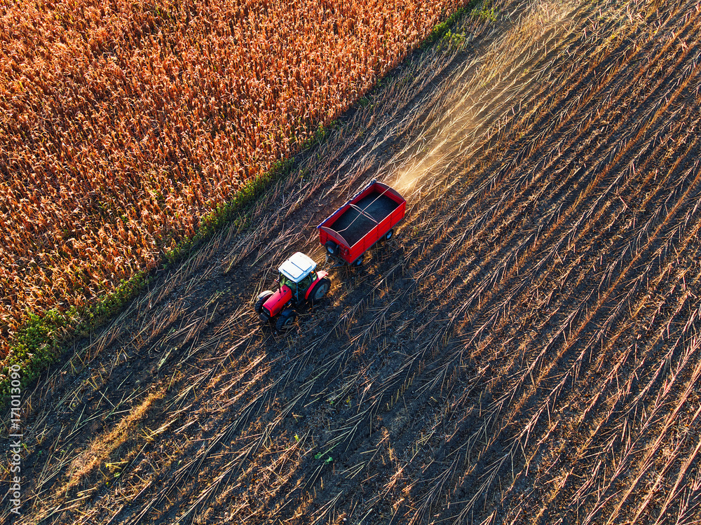 Obraz premium Farmer driving agricultural tractor and trailer full of grain