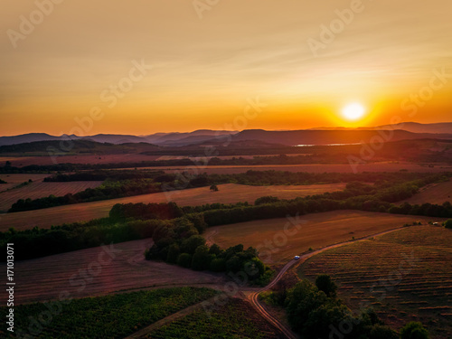 Beautiful Sunset over vineyard fields in Europe