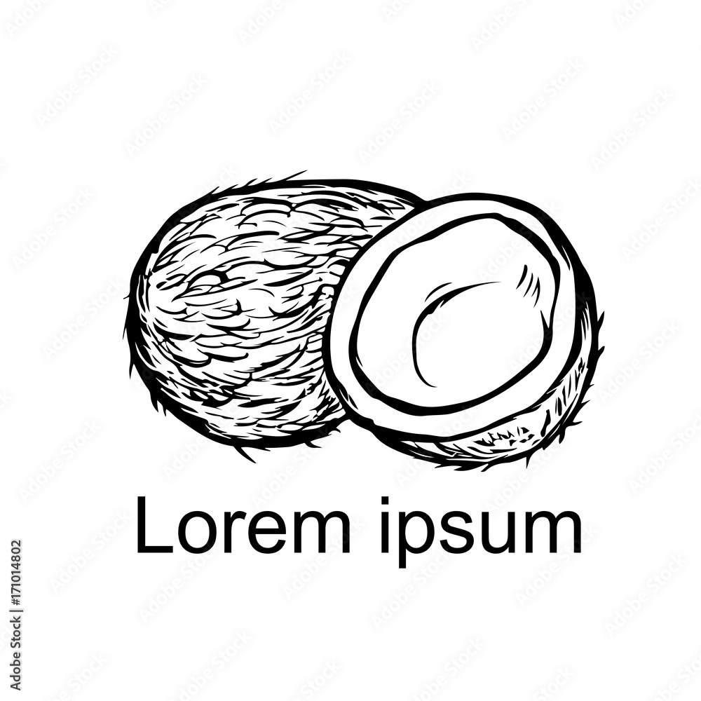 Fotografie Coconut whole and half isolated on a white background