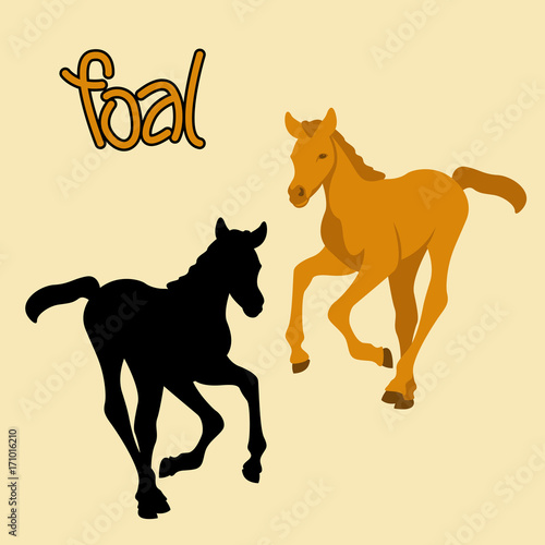 horse foal vector illustration black silhouette