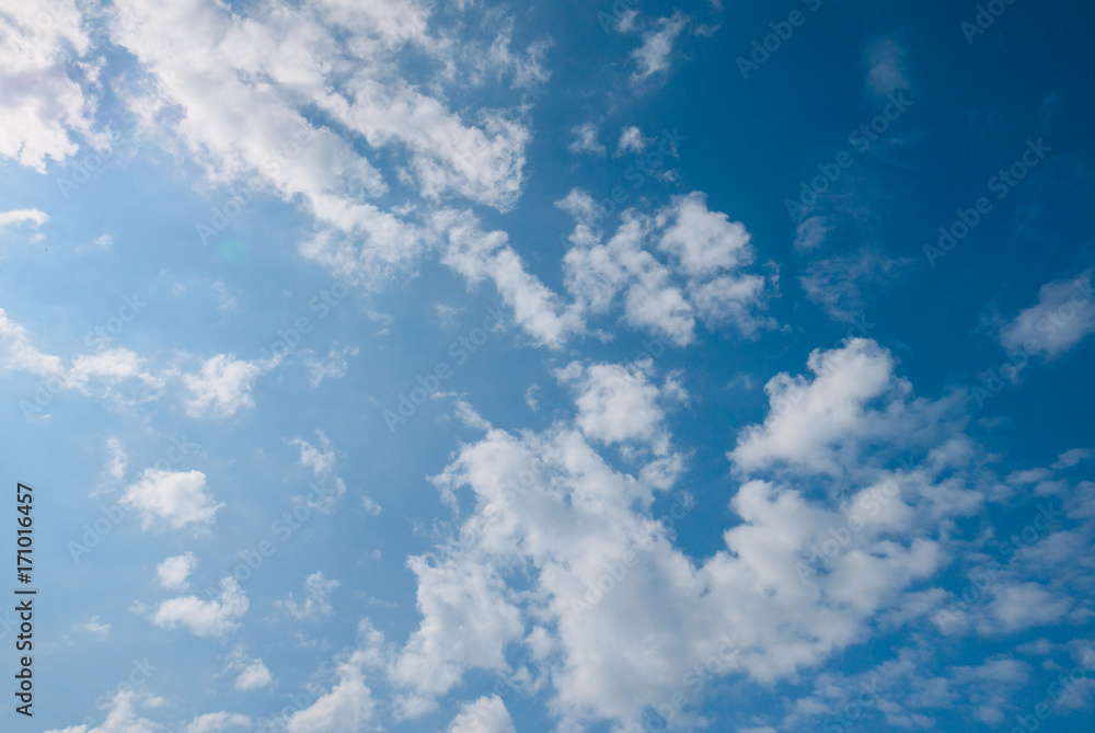 Fototapeta premium L1030680