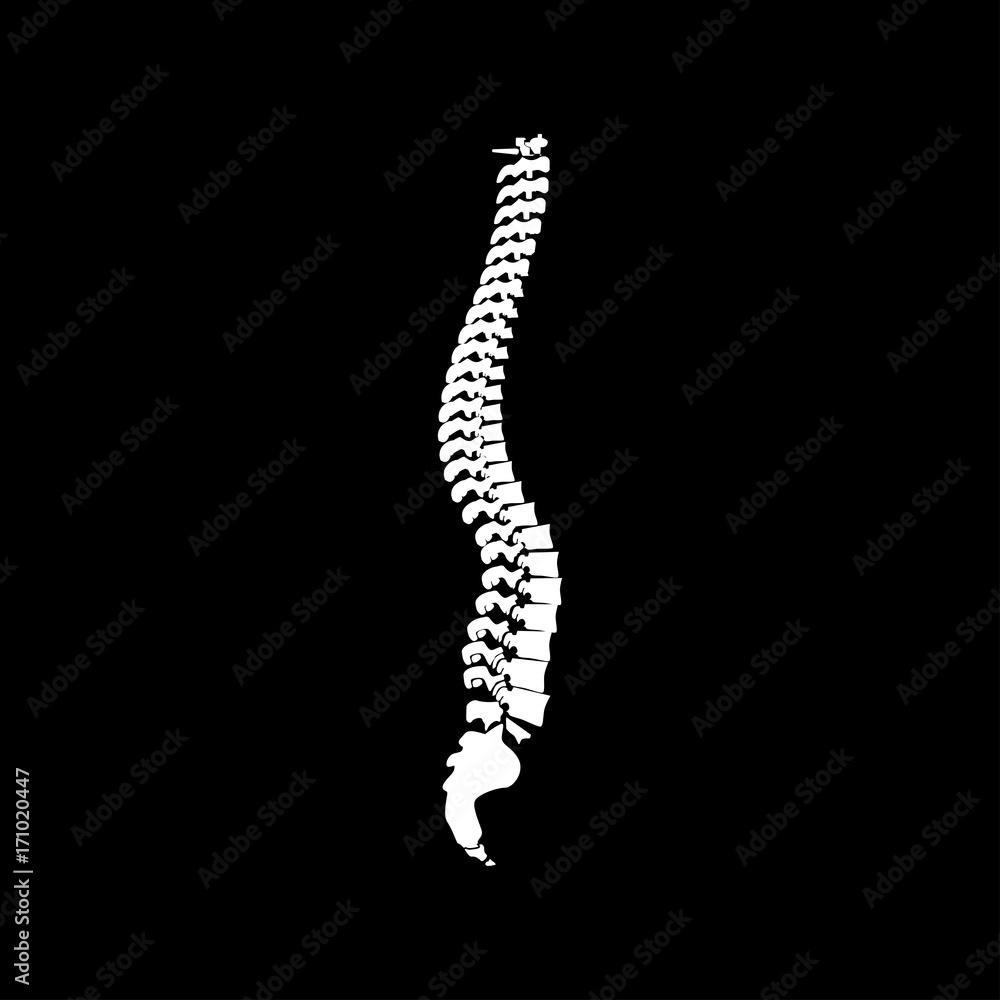 Spine it is icon . Spine it is icon .