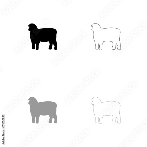 Sheep silhouette black and grey set icon .