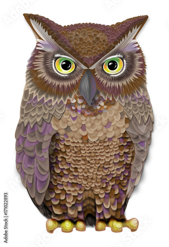Oul illustration